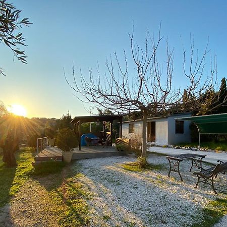 Gasthaus Olive Grove Anavyssos Exterior foto