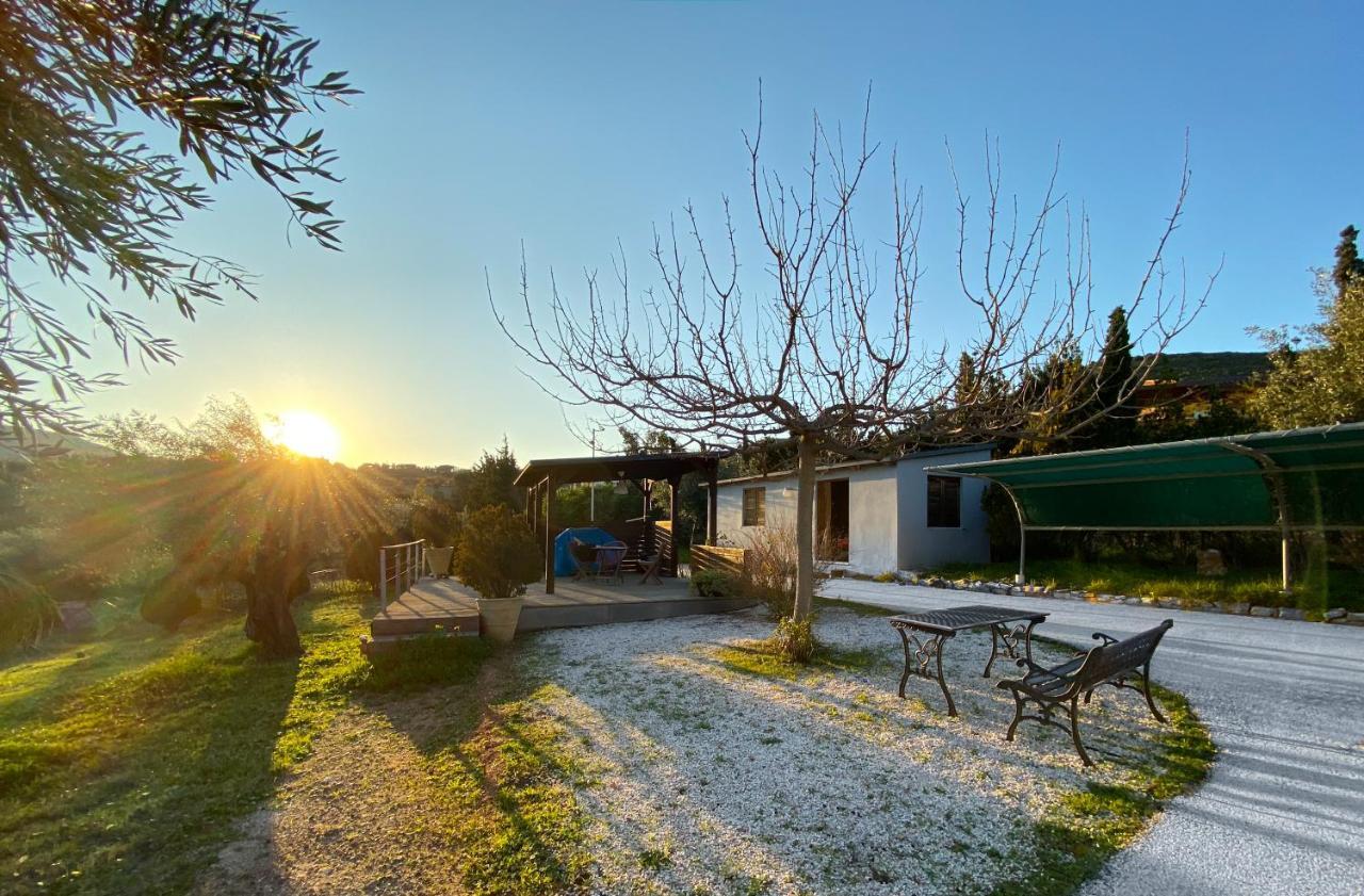 Gasthaus Olive Grove Anavyssos Exterior foto