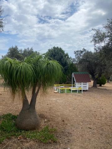 Gasthaus Olive Grove Anavyssos Exterior foto